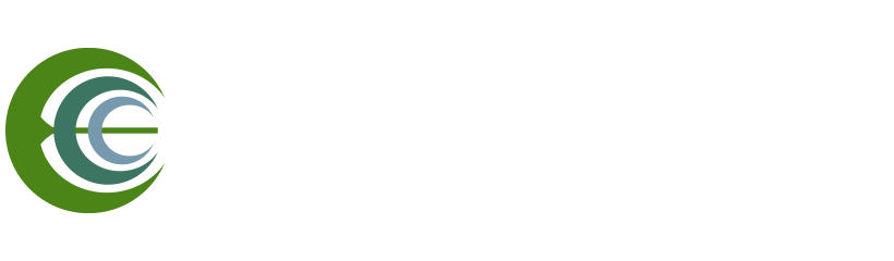 ECC Technology Services Logo